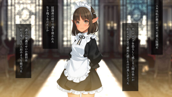 秘密の娼館で亜人メイドを HD(少女騎士団) - FANZA同人