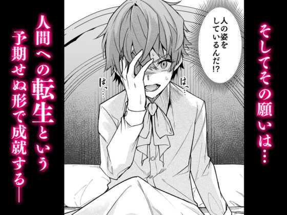 ゴブリンからはじめる世界征服(diletta) - FANZA同人