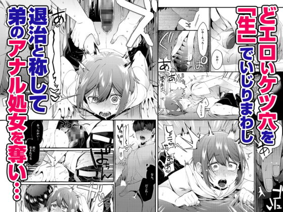 弟穴と繋がるアナルホール [とても雑魚] | DLsite 同人 - R18