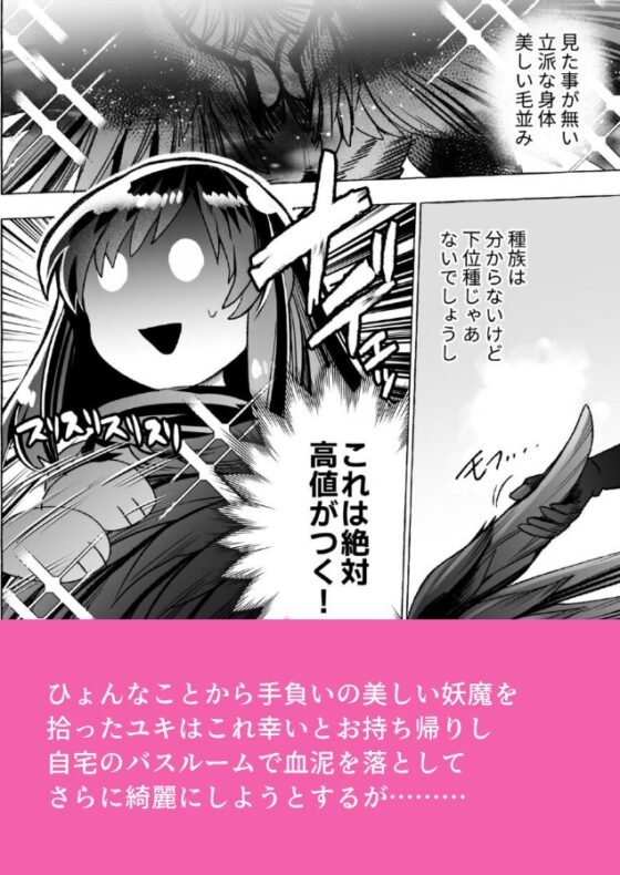 対魔師OL、屈強堕天使に種付け執着交尾されて番になるまで [目星堂] | DLsite がるまに