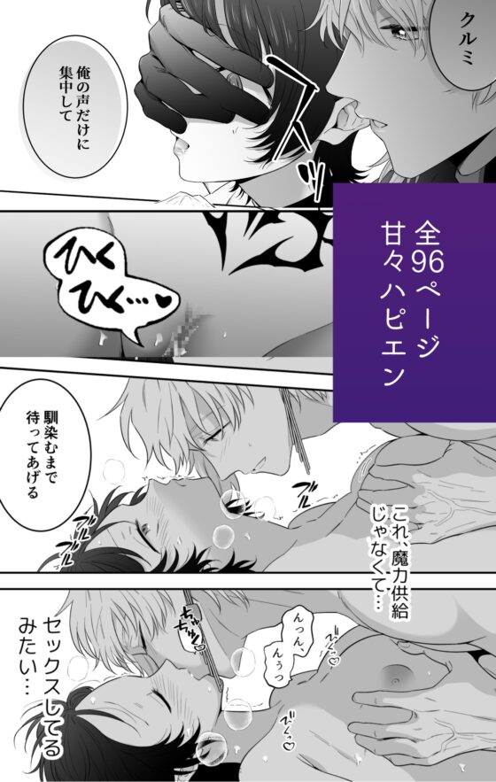 異世界転生したポンコツ淫魔はドS魔導師の使い魔になりました! [たまごキッチン] | DLsite がるまに