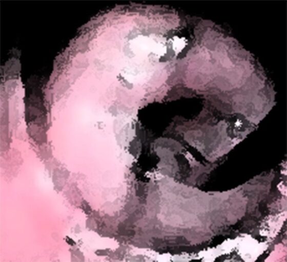 私の蟲姦遊び 19話 妊娠中に2匹のゴキブリの幼虫編(シングルママの日常) - FANZA同人