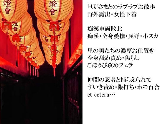 スパイダーリコリスFANZA限定総集編2・淫乱忍者時雨第二話・花嫁寵愛教育・秘書は密事の罠の中(スパイダーリコリス) - FANZA同人