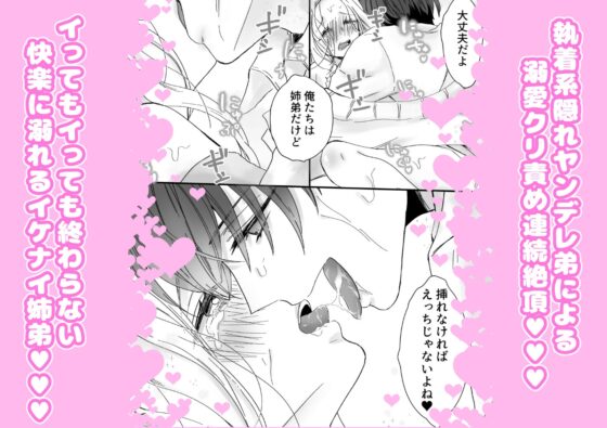 姉弟だけど挿れなければえっちじゃないよね [ribbonclassic] | DLsite がるまに