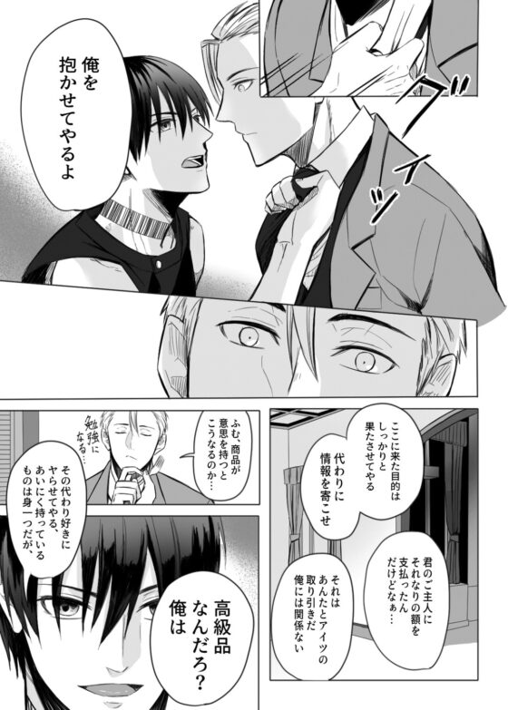 奴隷を経る3 [Cozika] | DLsite がるまに