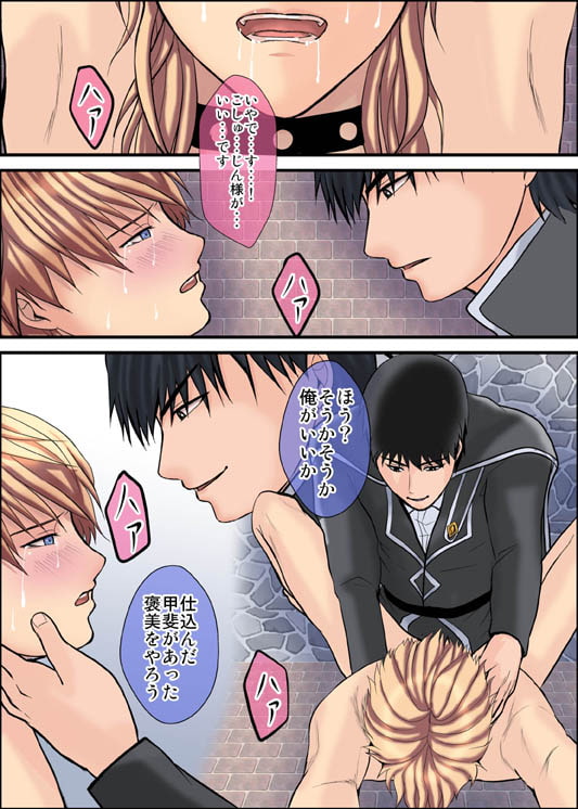 敵国の王子に捕まった軍団長の末路 [エルドラド工房] | DLsite がるまに