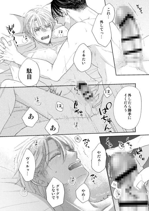 辺境伯騎士の執着婚 [シシカカ] | DLsite がるまに