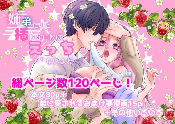 姉弟だけど挿れなければえっちじゃないよね [ribbonclassic] | DLsite がるまに