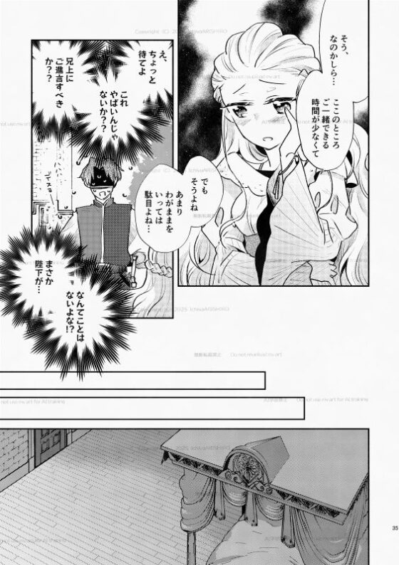 白い結婚‐王と王妃の恋ものがたり2‐