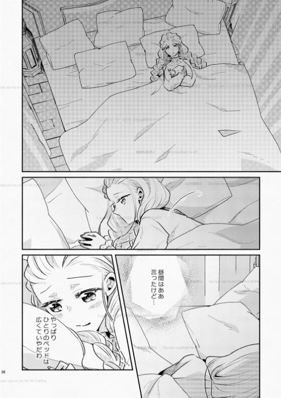 白い結婚‐王と王妃の恋ものがたり2‐