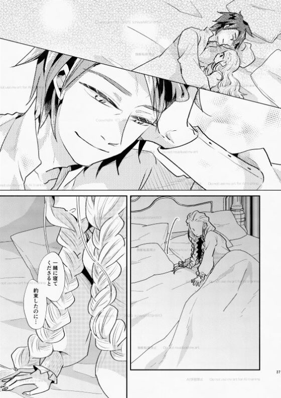 白い結婚‐王と王妃の恋ものがたり2‐