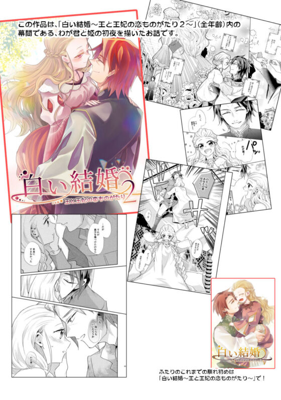 白い結婚‐王と王妃の恋ものがたり2‐【初夜】