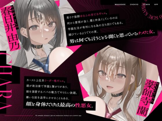 【期間限定4大特典】W生意気性悪ギャルをわからせ調教する催○アプリ～いじめられた屈辱はちんぽで返す。常識改変逆レ○プ→催○解除で復讐する学園性活～ [清楚工房] | DLsite 同人 - R18