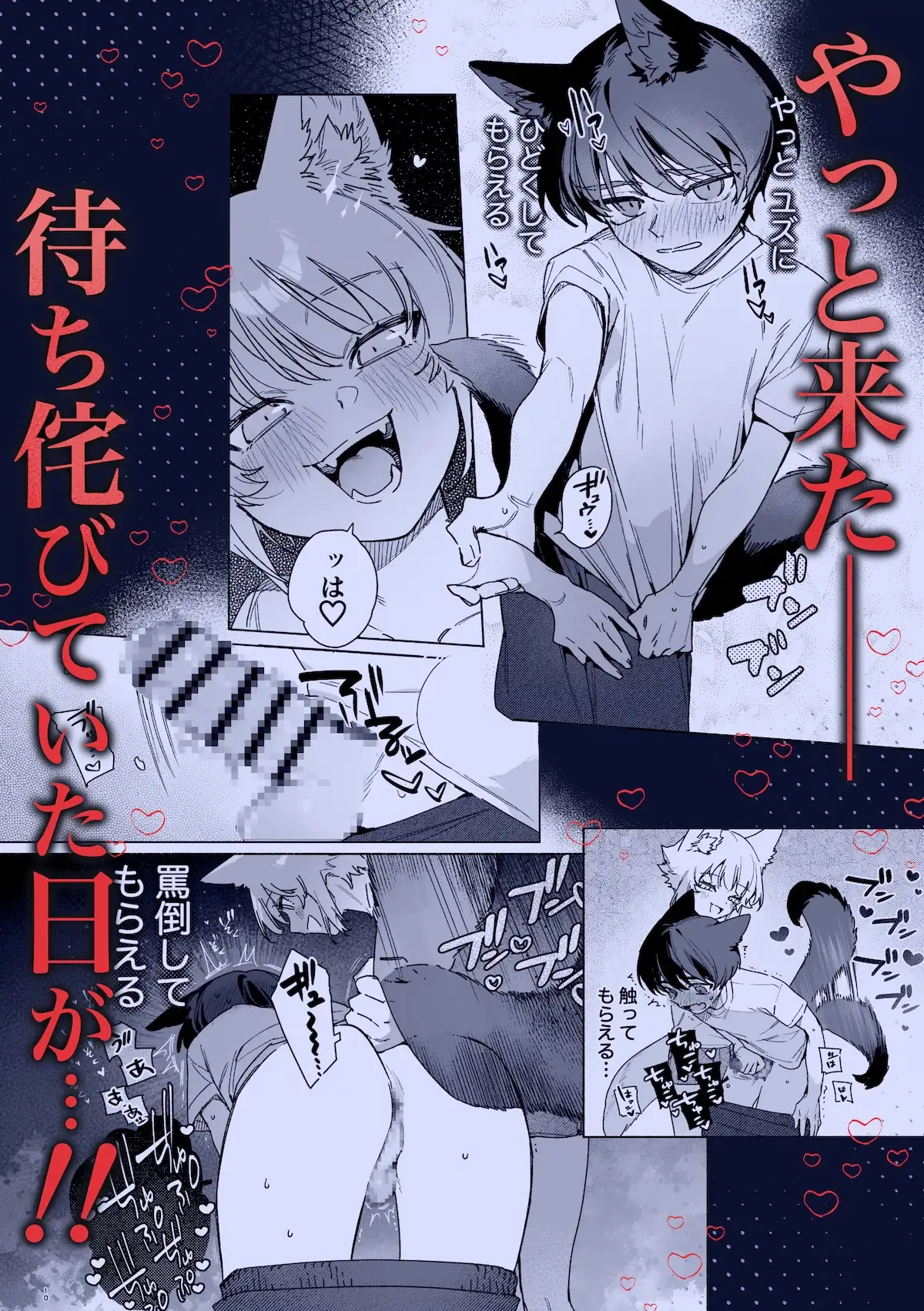 ♂が受け。コヨーテちゃん×甲斐犬くん2 [pink carrot] | DLsite がるまに