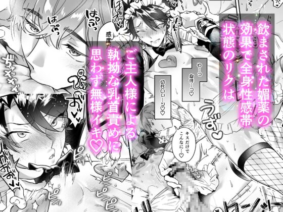 ナマイきっ♡メイド リクくん [night safari park] | DLsite がるまに