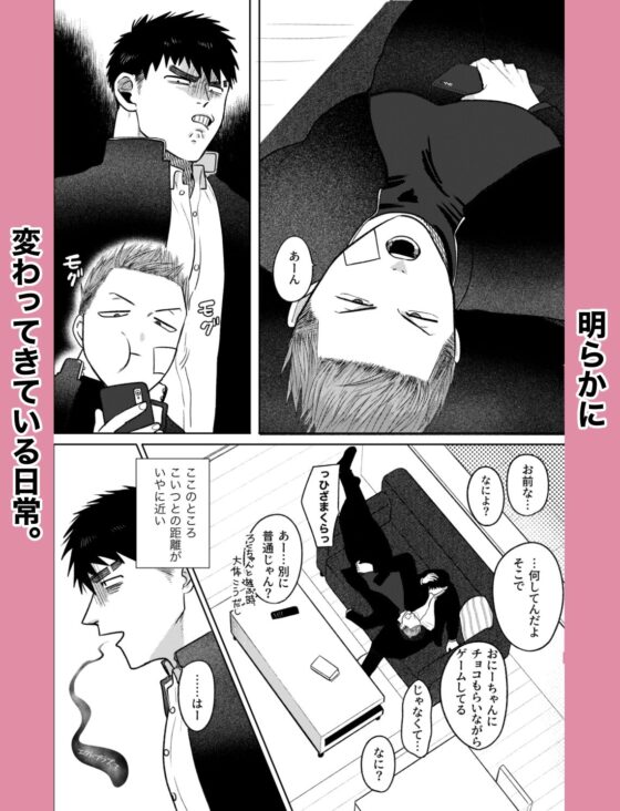 妹の代わりはもうやめる