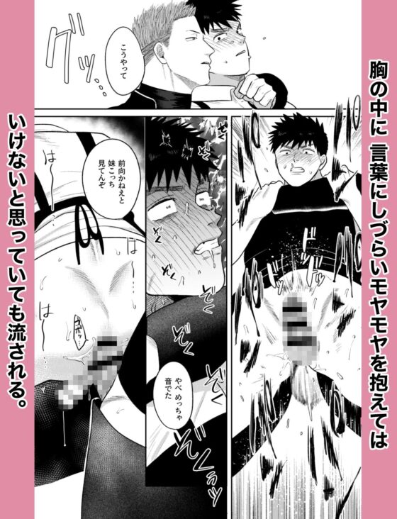 妹の代わりはもうやめる