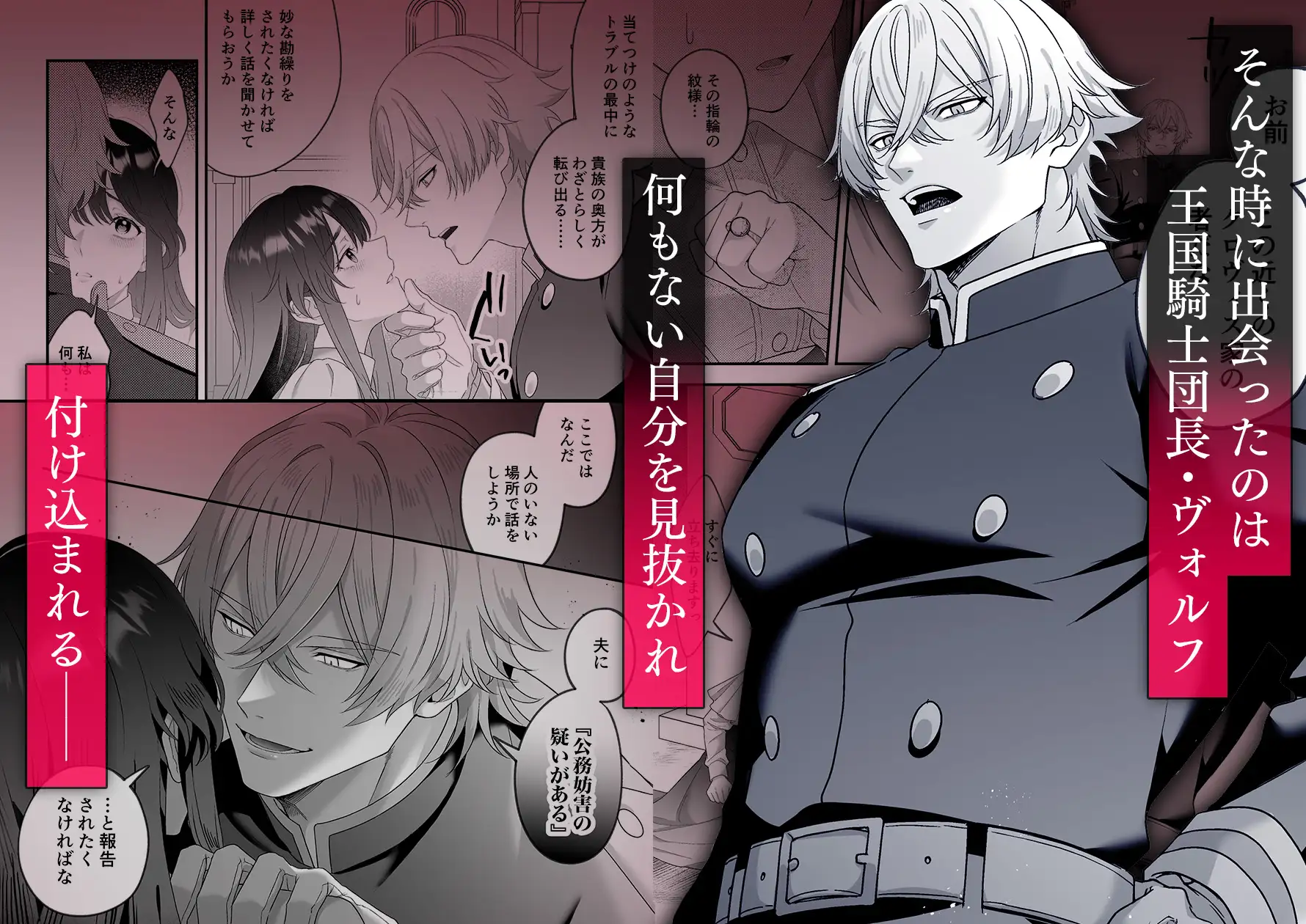 最強騎士団長体格差NTR～何も知らない貴族の人妻は俺様筋肉交尾に抗えず、身体中を芯まで塗り潰される [マッスルポートフォリオ] | DLsite がるまに