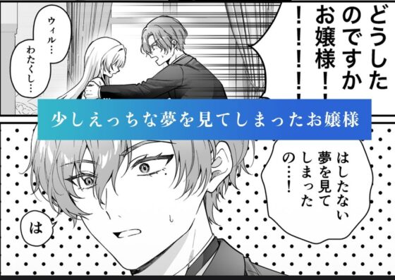 性に無知なお嬢様、生真面目執事に性教育される