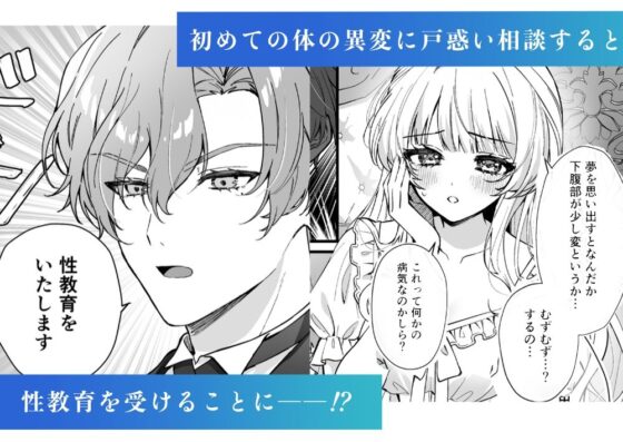 性に無知なお嬢様、生真面目執事に性教育される