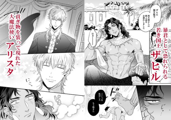 無慈悲なメス堕ち教育で暴君を更生させる