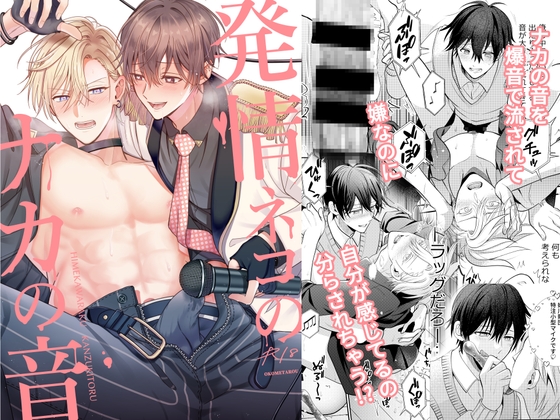 発情ネコのナカの音 [米式'] | DLsite がるまに