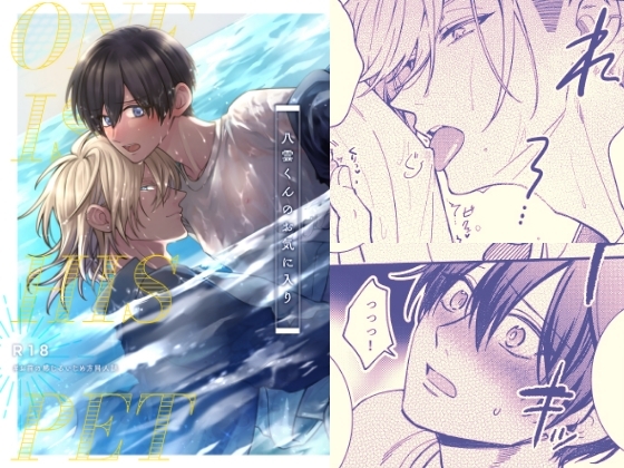 八雲くんのお気に入り [zachipochi] | DLsite がるまに