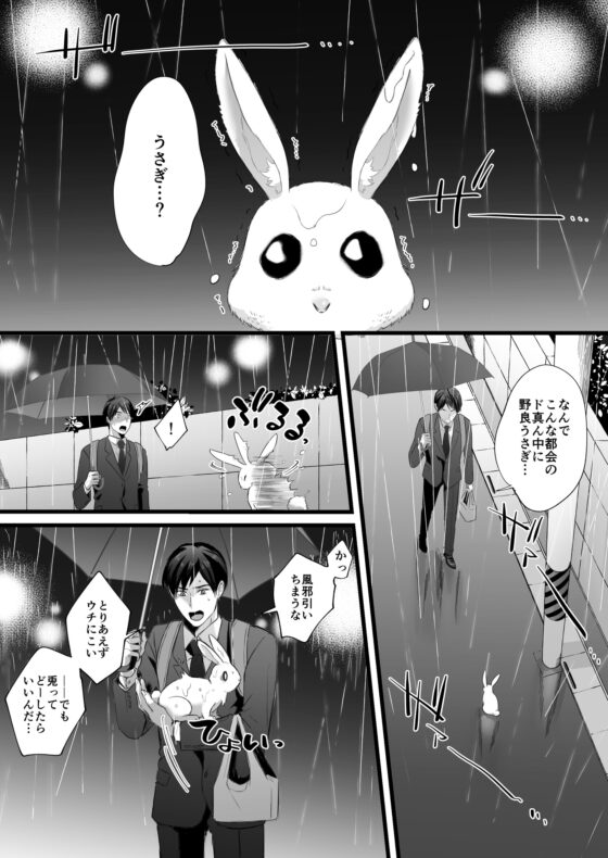 落し物は発情うさぎ [YellowPost] | DLsite がるまに