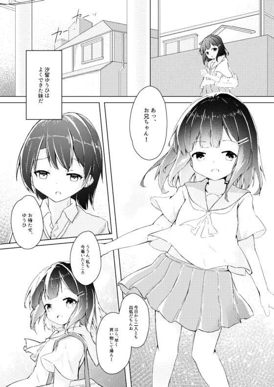 ゆうやけどらうんど [Clowd of Crows] | DLsite 同人 - R18