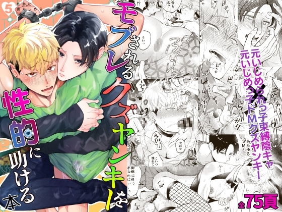 モブレされるクズヤンキーを性的に助ける本 [OHAGI HANGAKU] | DLsite がるまに