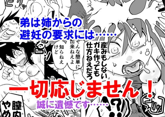 智こキ 避妊失敗編 私はモテないけどどれほど泣いて頼んでも一度も弟が避妊をしてくれなかったことをどう考えたらいいの?誰が悪いの? [裏モニン] | DLsite 同人 - R18
