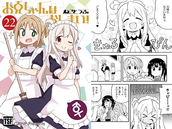 お兄ちゃんはおしまい!22 [GRINP] | DLsite 同人