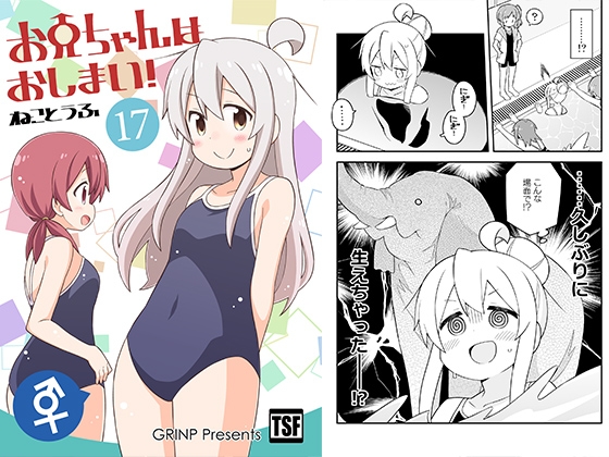 お兄ちゃんはおしまい!17 [GRINP] | DLsite 同人