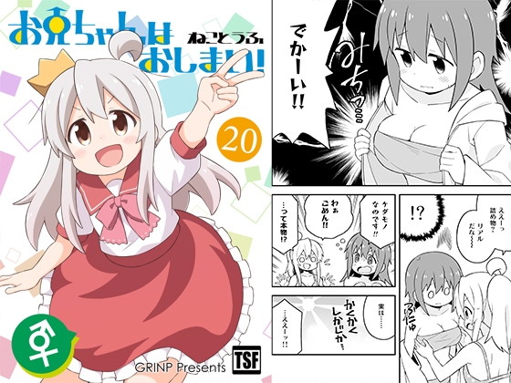 お兄ちゃんはおしまい!20 [GRINP] | DLsite 同人