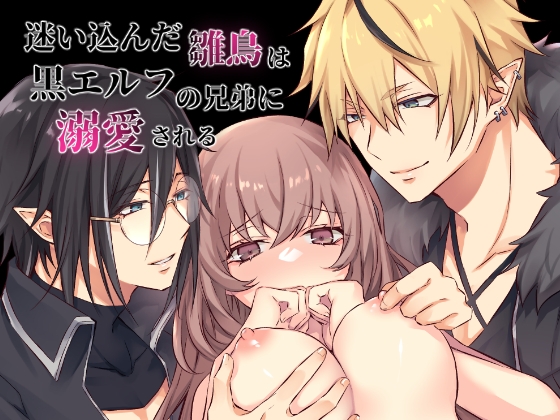 迷い込んだ雛鳥は黒エルフの兄弟に溺愛される [NULLNULL] | DLsite がるまに