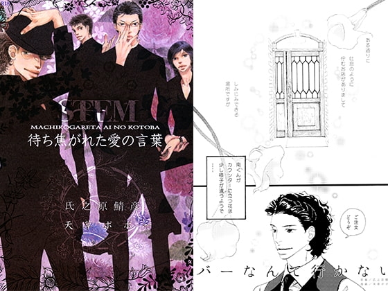 STEM [鯖彦] | DLsite がるまに