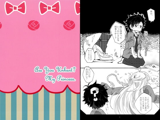 Are You unhurt? My princess? [塩分摂取。] | DLsite がるまに