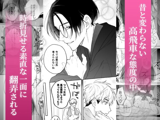 先に堕ちたのは [もちもちすはだ] | DLsite がるまに