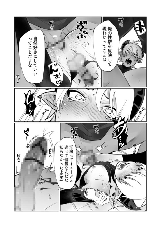 ポンコツ淫紋淫魔に性的制裁したら気に入られた [ユーノオクツキ] | DLsite がるまに