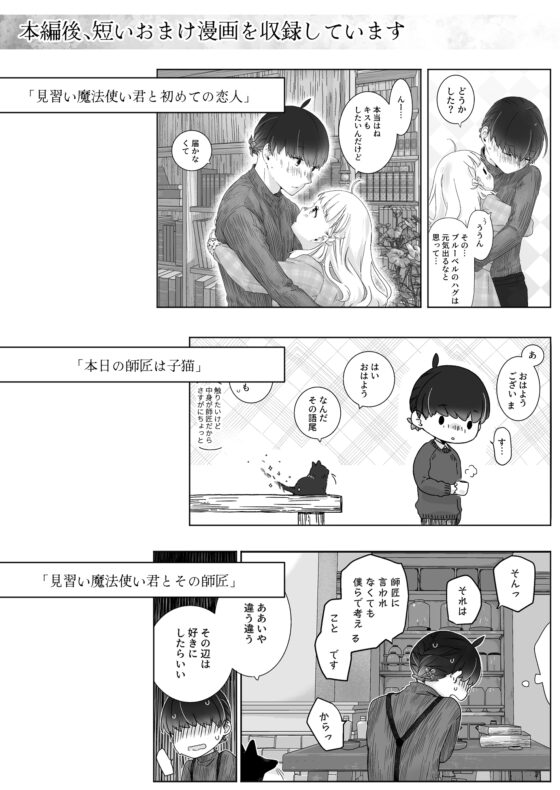 見習い魔法使い君の月の夜 [青色観測所] | DLsite がるまに