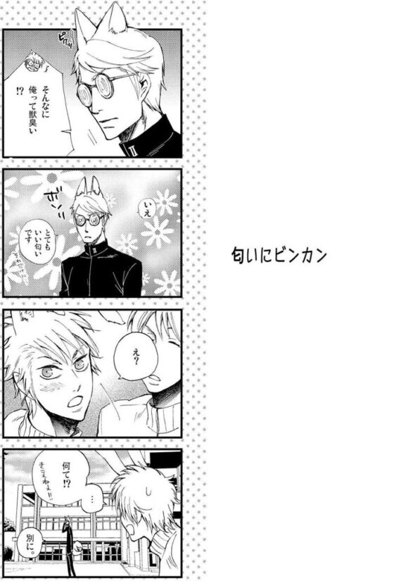 ケモミミSelection [からたち] | DLsite がるまに