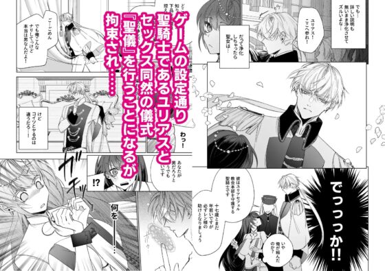 ～エロゲー召喚～ある日聖女になった俺♀ [可愛いあの子の骨] | DLsite がるまに