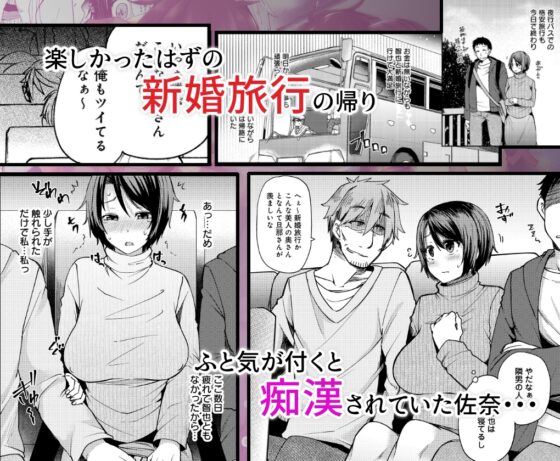 夜行バスで痴漢されて寝取られた妻 [綾枷家の猫] | DLsite 同人 - R18
