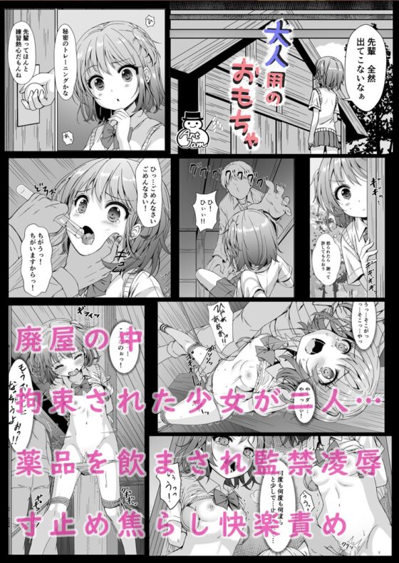 大人用のおもちゃ 四人目…果奈 [Art Jam] | DLsite 同人 - R18