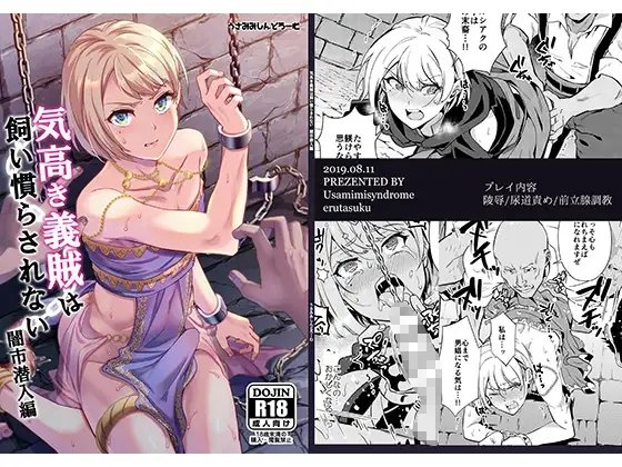 気高き義賊は飼い慣らされない 闇市潜入編 [うさみみしんどろーむ] | DLsite 同人 - R18