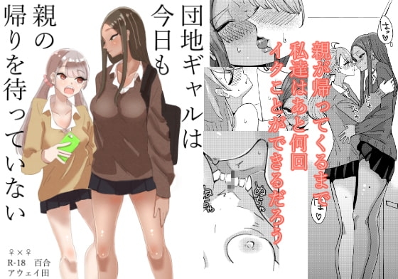 団地ギャルは今日も親の帰りを待っていない [アウェイ田] | DLsite 同人 - R18