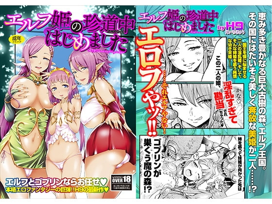 エルフ姫の珍道中はじめました [U3DASH編集部] | DLsite 同人 - R18
