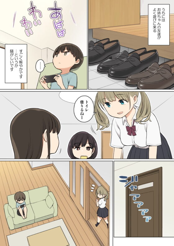 お姉ちゃんの友達がエッチな人ばかりだったから [ひぐま屋] | DLsite 同人 - R18