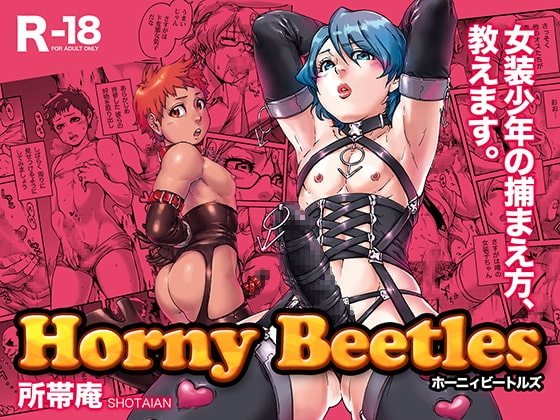 Horny Beetles [所帯庵] | DLsite 同人 - R18