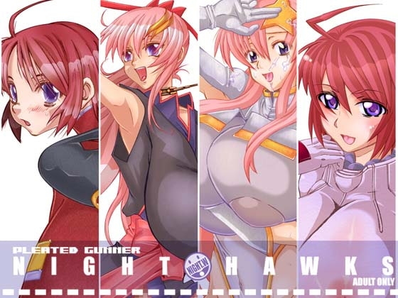 NIGHT HAWKS QUADRILOGY [HGH] | DLsite 同人 - R18